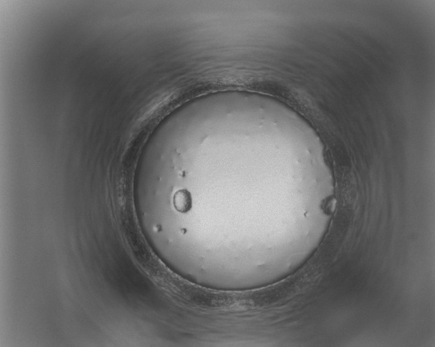 X0000059810683200511041654