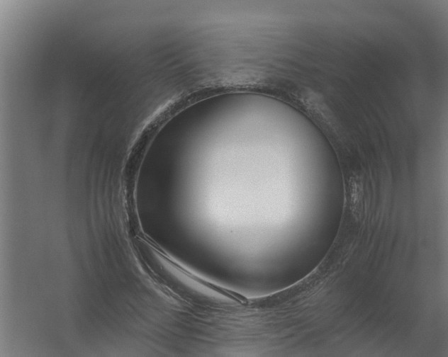 X0000059810684200511041654