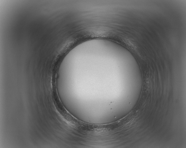 X0000059810686200511041654