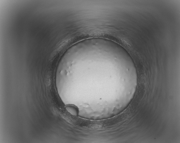 X0000059810687200511041654