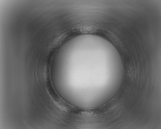 X0000059810690200511041654