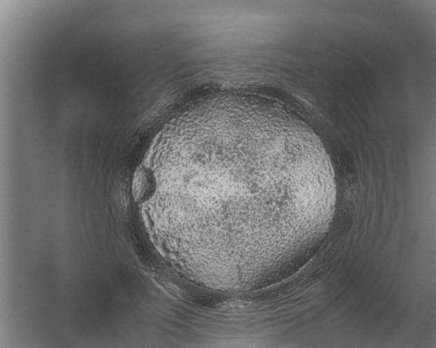 X0000059810691200511041654