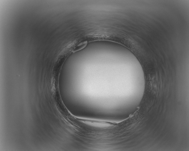 X0000059810692200511041654