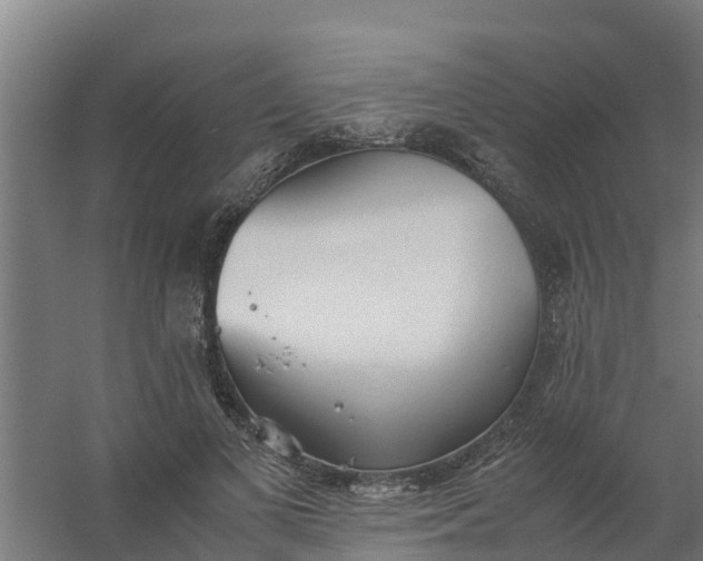 X0000059810693200511041654