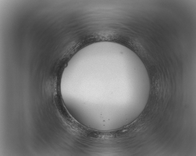 X0000059810694200511041654