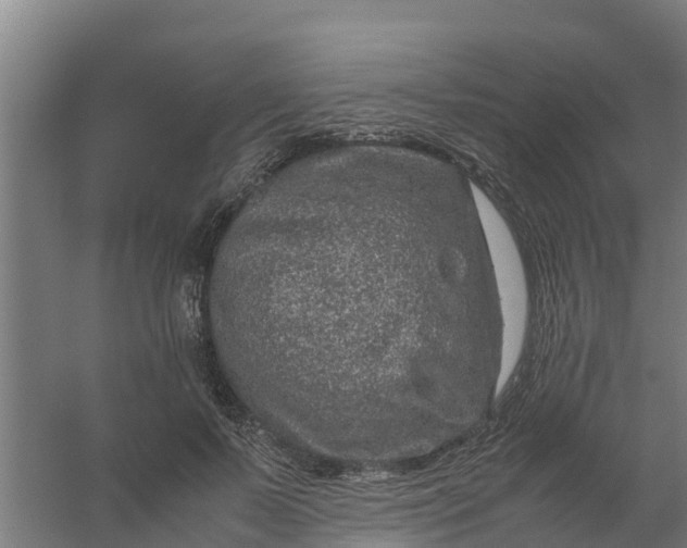 X0000059810695200511041654