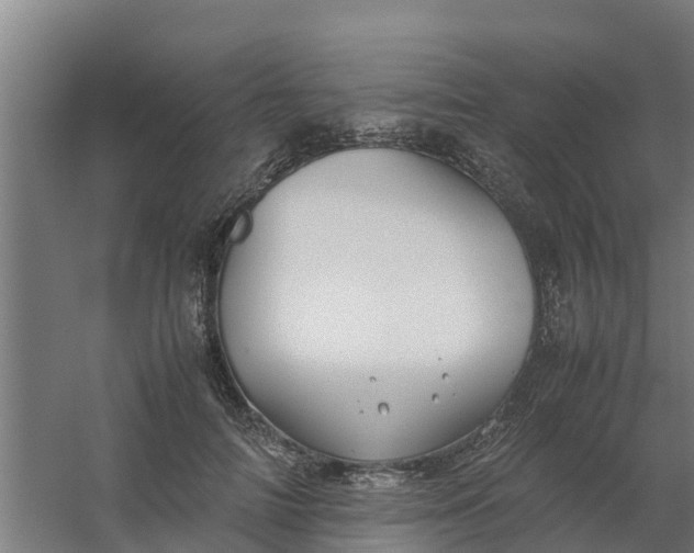 X0000059810698200511041654