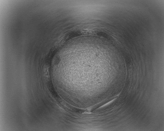 X0000059810699200511041654