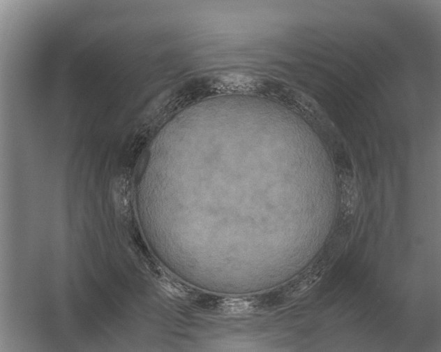 X0000059810701200511041654