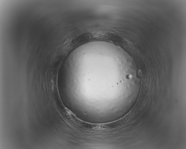 X0000059810703200511041654