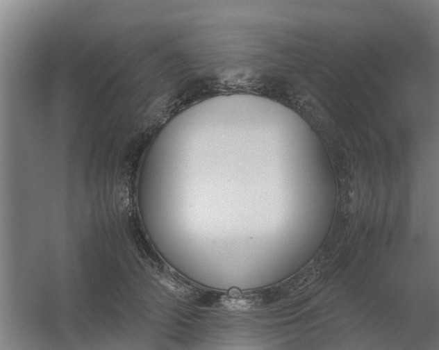 X0000059810706200511041654