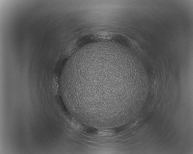 X0000059810707200511041654