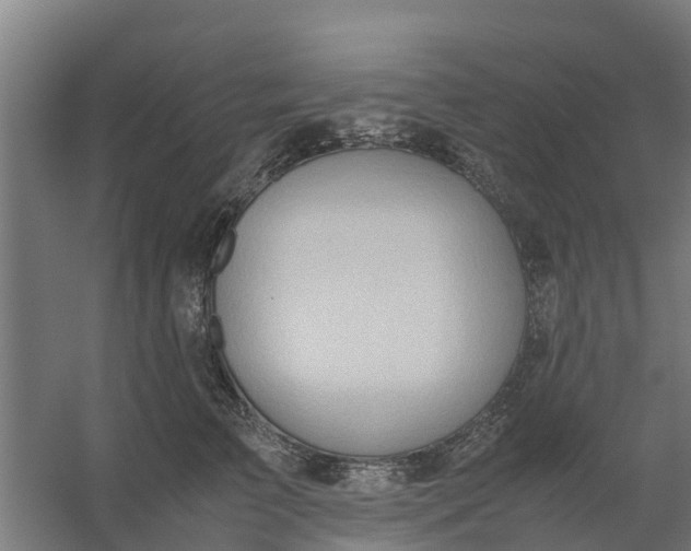 X0000059810709200511041653