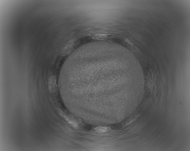 X0000059810711200511041653