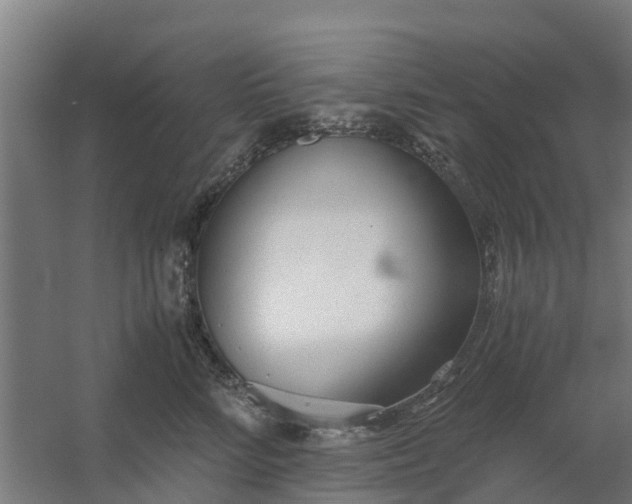 X0000059810712200511041653