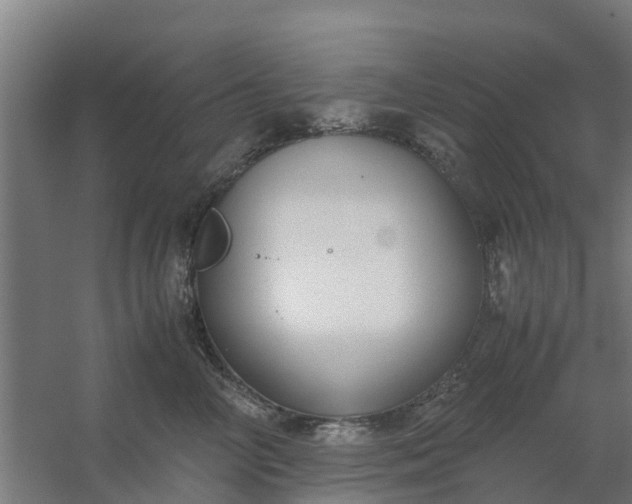 X0000059810714200511041653