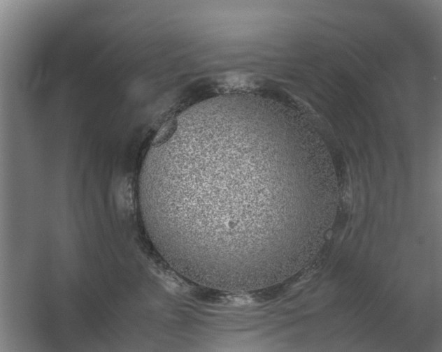 X0000059810715200511041653