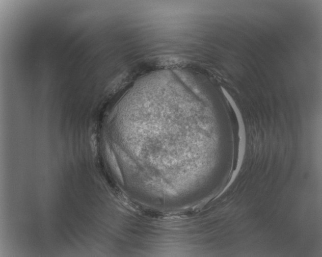 X0000059810716200511041653