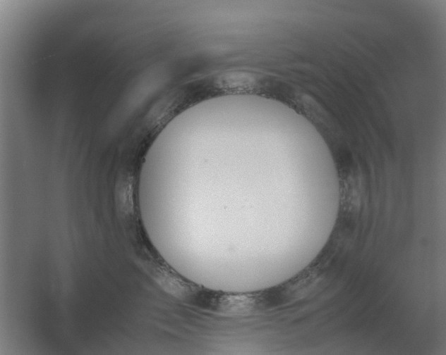 X0000059810717200511041653