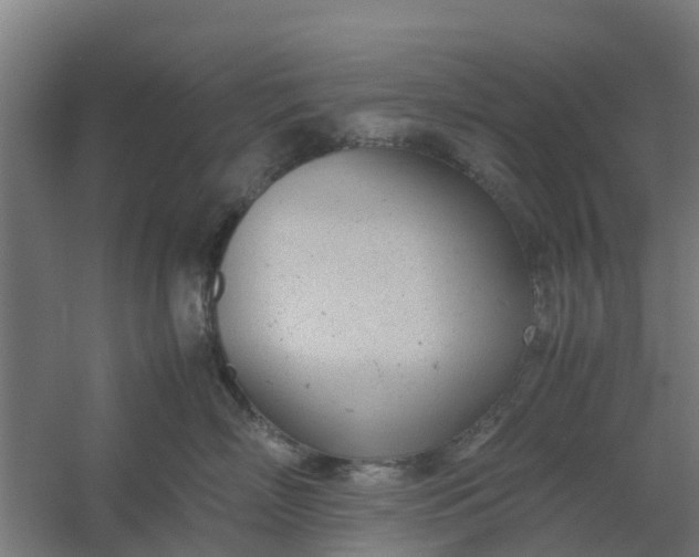 X0000059810718200511041653