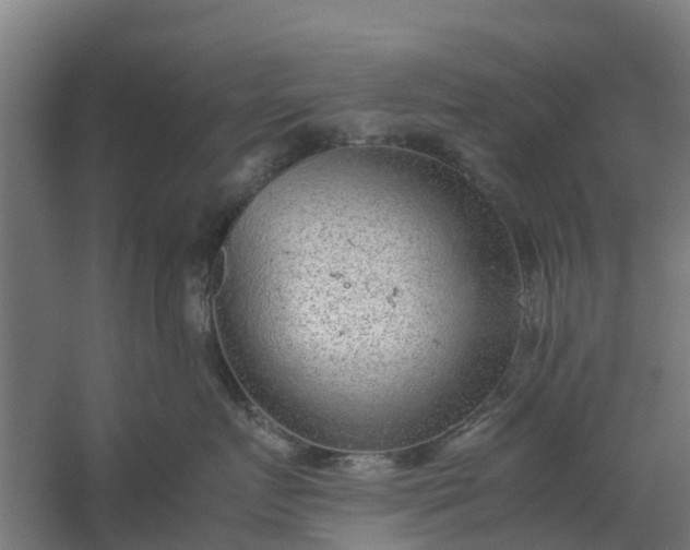 X0000059810719200511041653