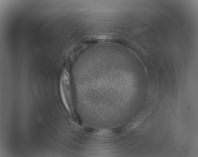 X0000059810720200511041653