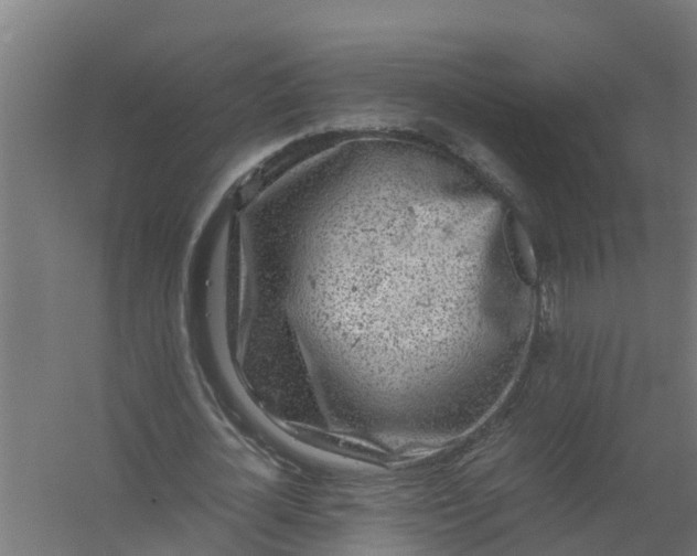 X0000059810724200511041653