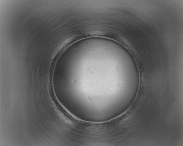 X0000059810725200511041653