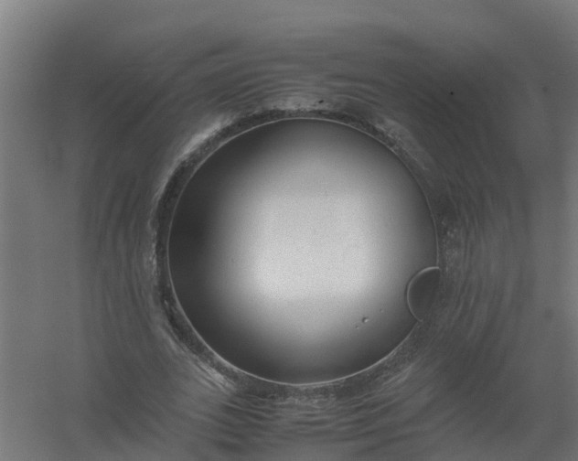 X0000059810727200511041653