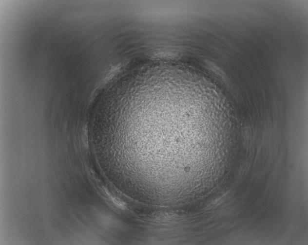 X0000059810729200511041653