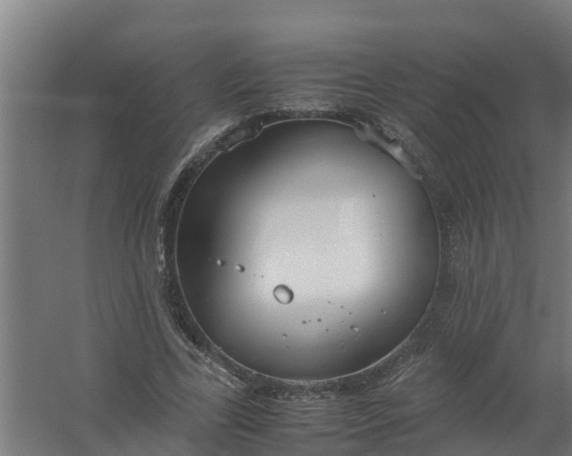 X0000059810731200511041653