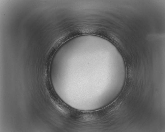 X0000059810733200511041653