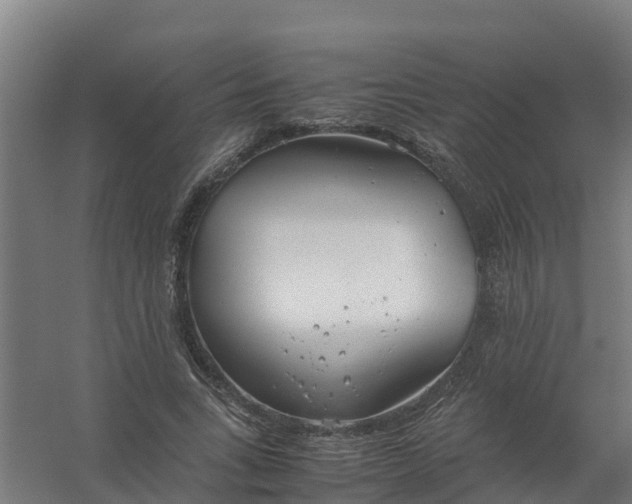 X0000059810735200511041653