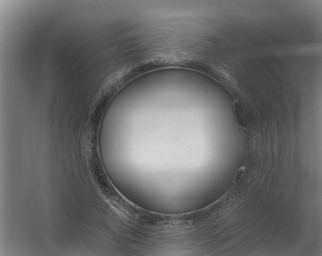 X0000059810736200511041653