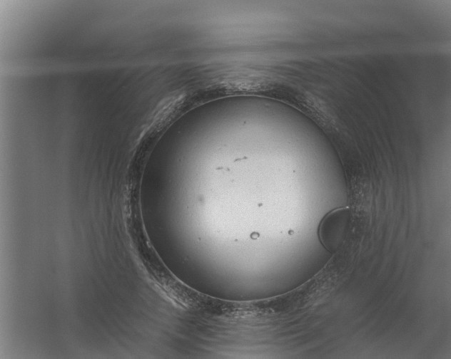 X0000059810738200511041653