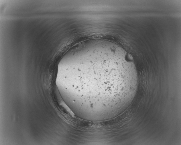 X0000059810742200511041653