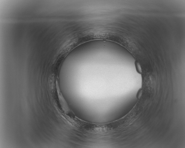 X0000059810744200511041653