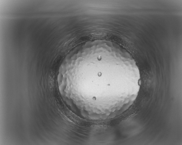 X0000059810745200511041653