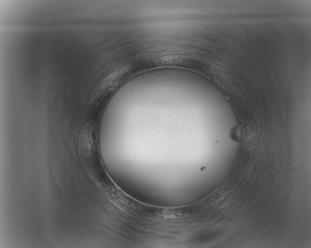 X0000059810746200511041653