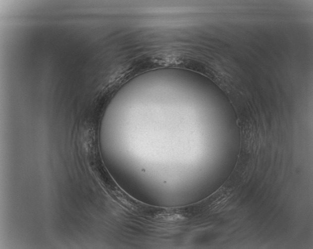 X0000059810747200511041653