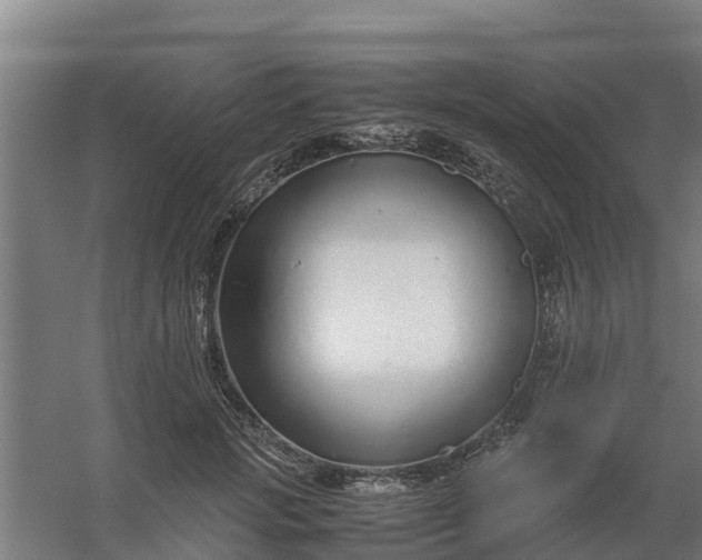 X0000059810749200511041653