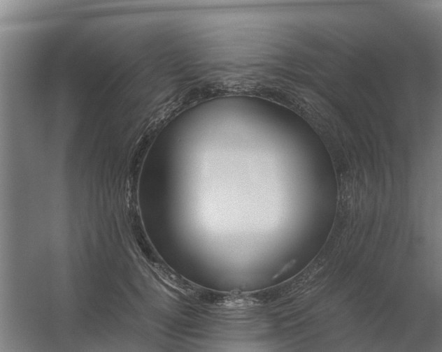 X0000059810752200511041653