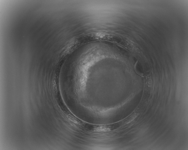 X0000059810754200511041653