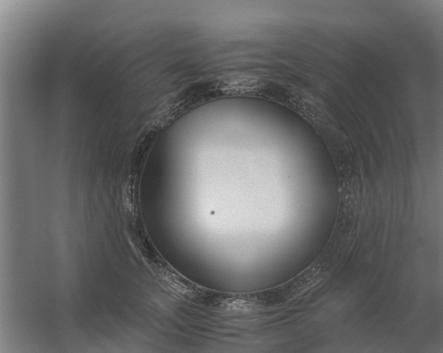 X0000059810755200511041653