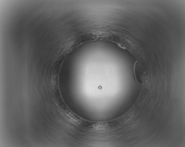 X0000059810756200511041653