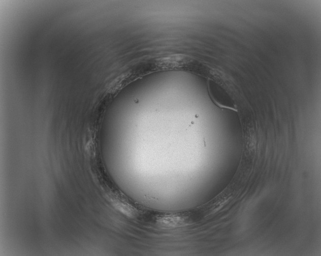 X0000059810759200511041653