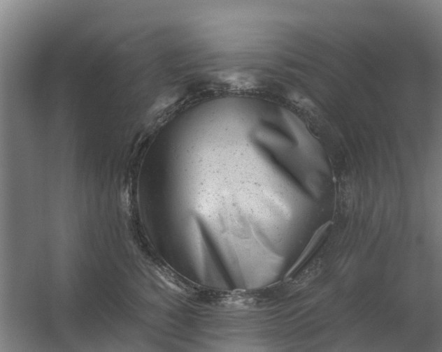 X0000059810760200511041653