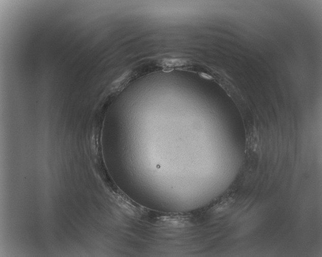 X0000059810763200511041653