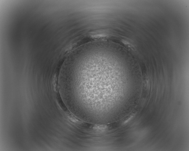 X0000059810767200511041653