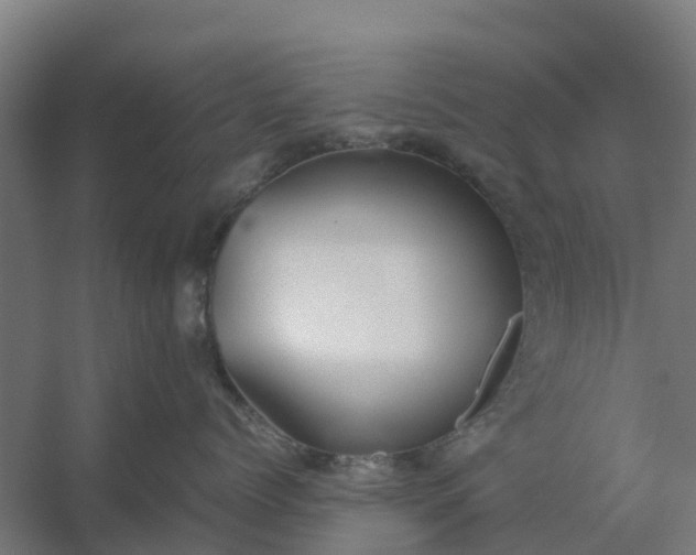 X0000059810768200511041653